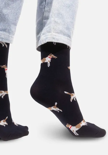 Socks Fox terriers