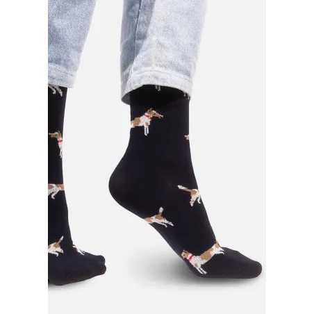 Socks Fox terriers