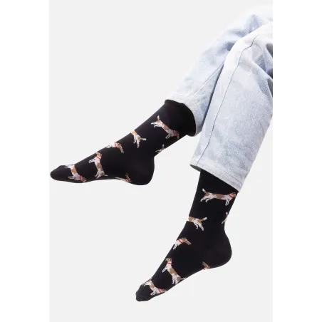 Socks Fox terriers