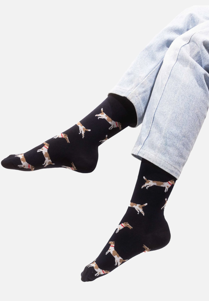 Socks Fox terriers