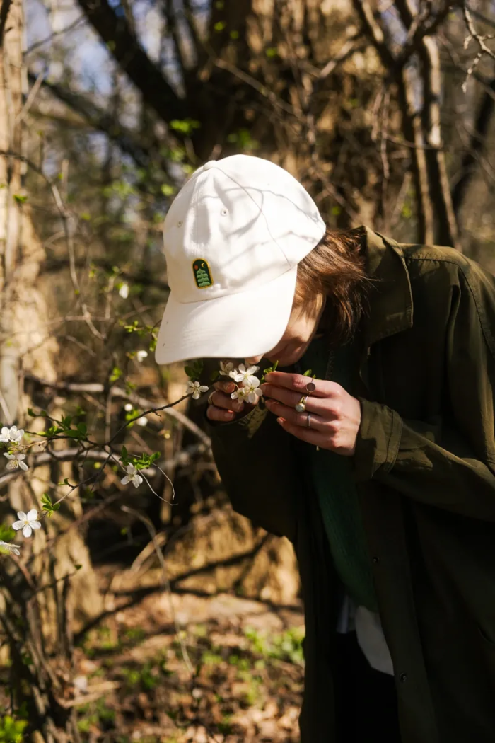 Baseball cap made of organic cotton Spruce