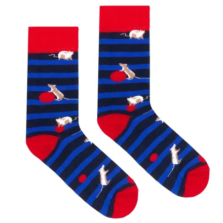Socks Organic Cotton Rats