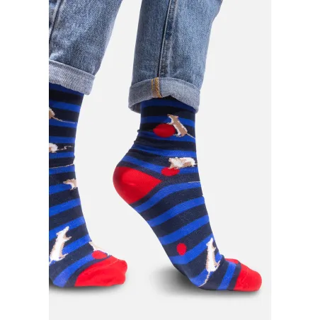 Socks Organic Cotton Rats