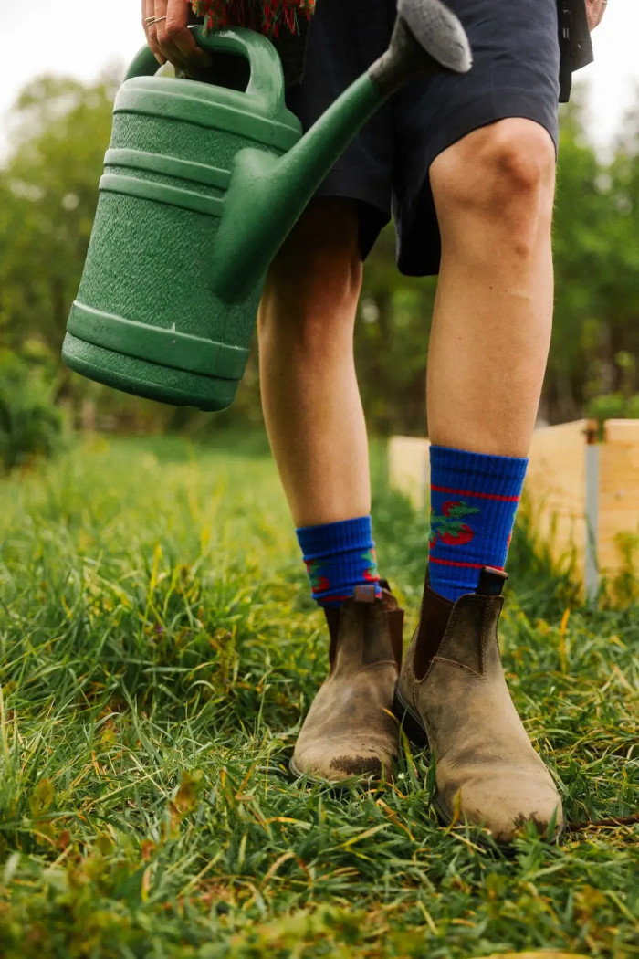 Sport organic cotton socks with Tomatoes