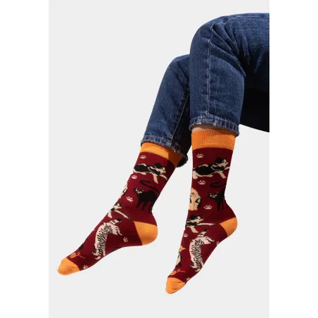 Socks organic cotton burgundy Cats