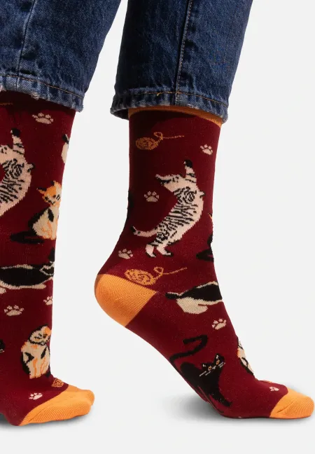 Socks organic cotton burgundy Cats