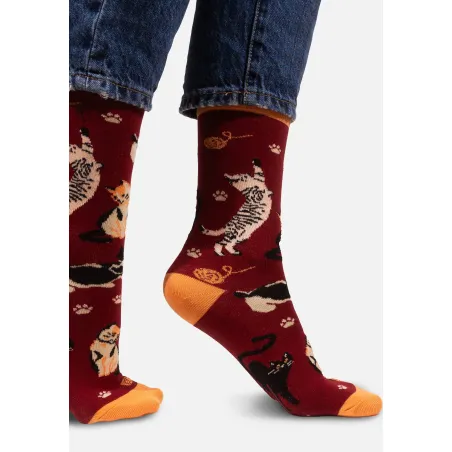 Socks organic cotton burgundy Cats