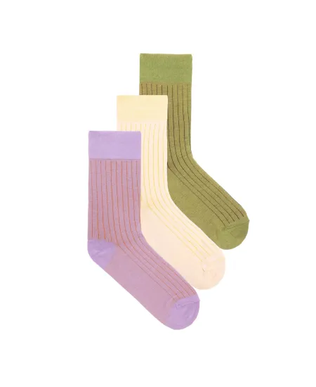 First Day of Spring Sock Set