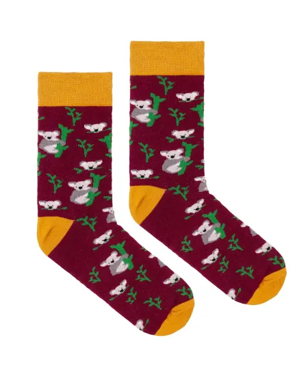 Socks organic cotton Koalas