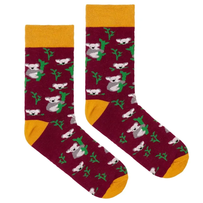 Socks organic cotton Koalas