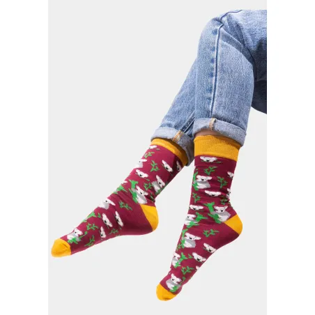 Socks organic cotton Koalas