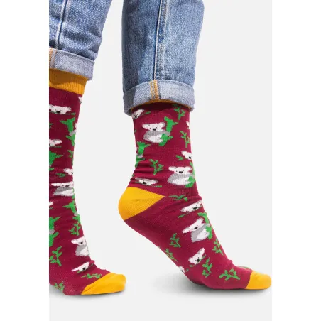 Socks organic cotton Koalas