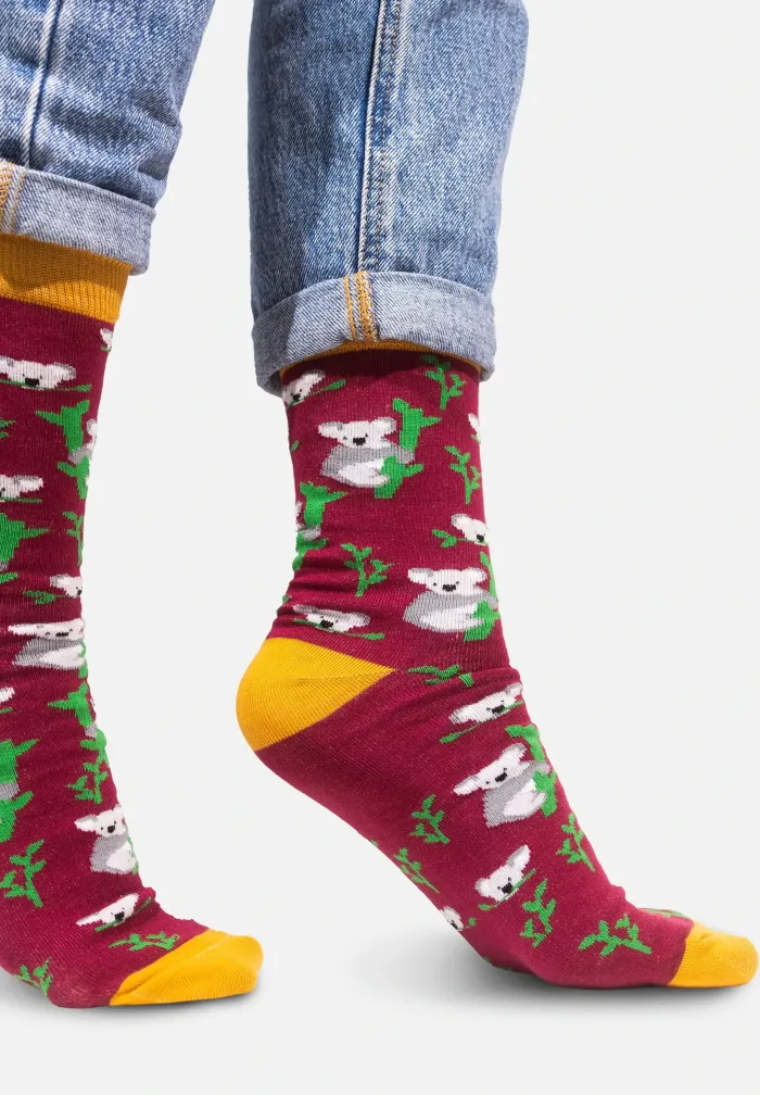 Socks organic cotton Koalas