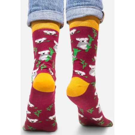 Socks organic cotton Koalas