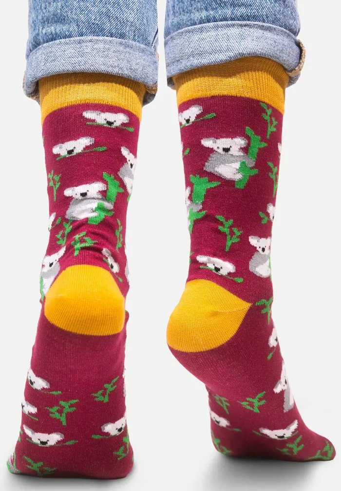 Socks organic cotton Koalas
