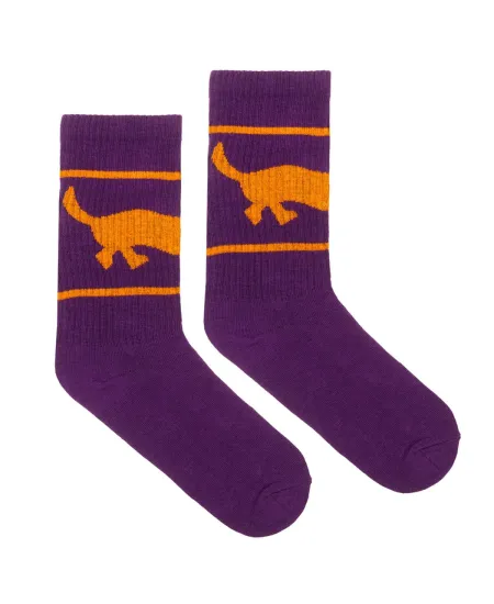 Sport organic cotton socks with Dachshund