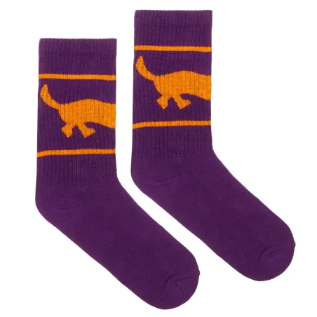 Sport organic cotton socks with Dachshund