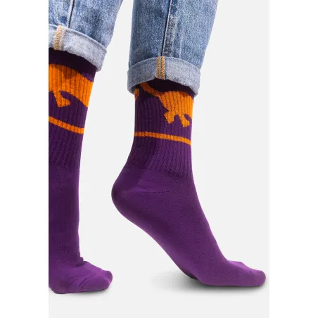 Sport organic cotton socks with Dachshund
