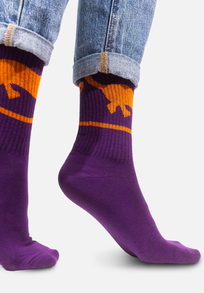 Sport organic cotton socks with Dachshund