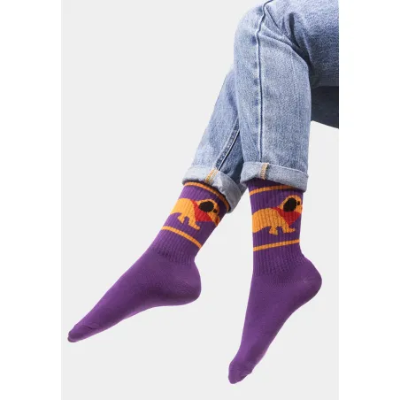 Sport organic cotton socks with Dachshund