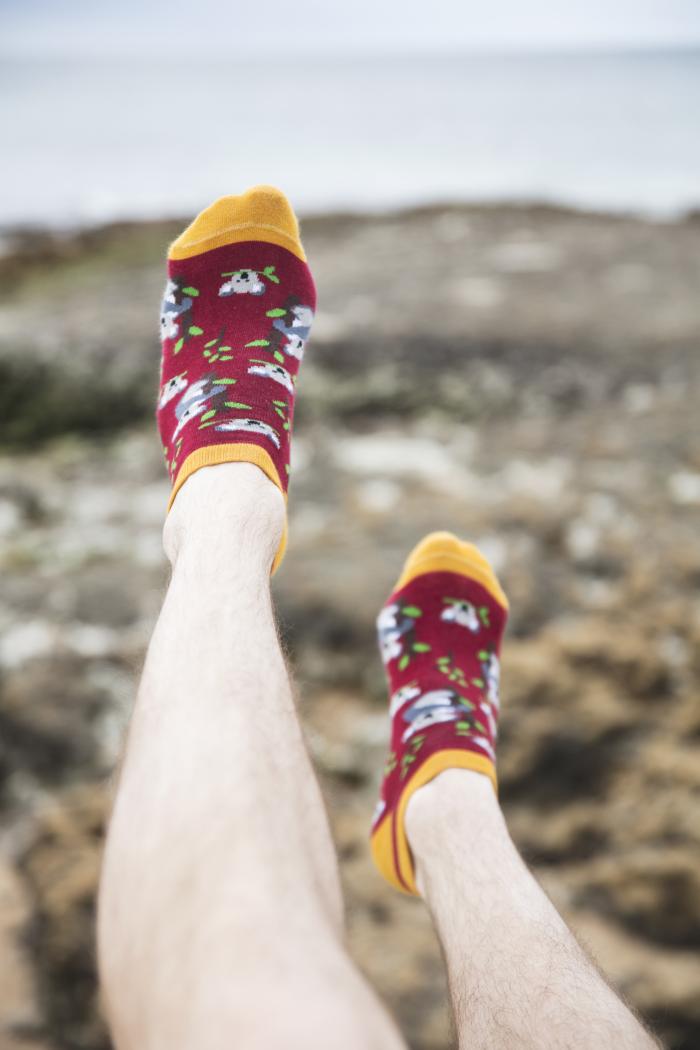 Ankle socks Koalas