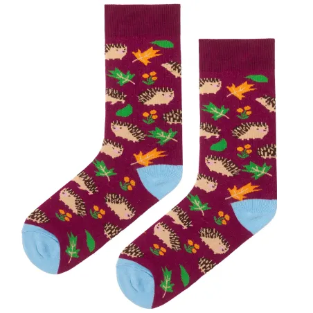 Socks organic cotton with Hedgehogs