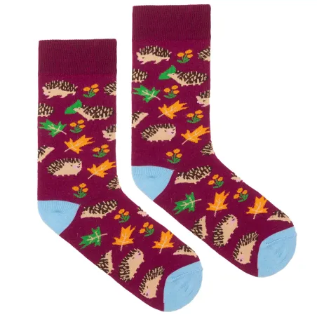 Socks organic cotton with Hedgehogs