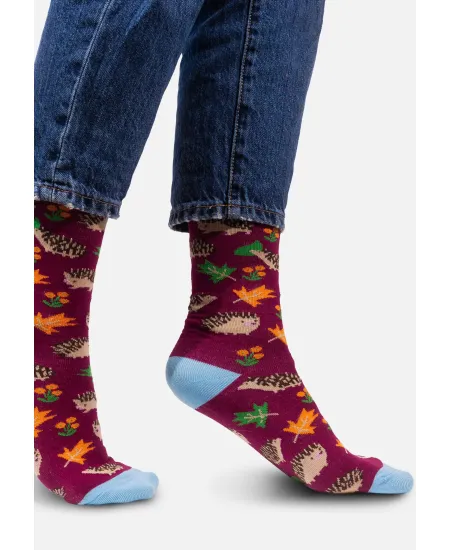 Socks organic cotton with Hedgehogs
