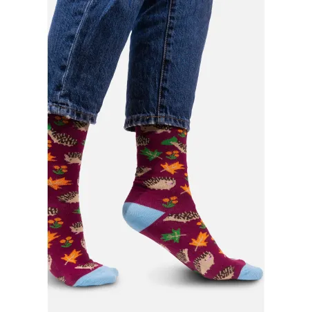 Socks organic cotton with Hedgehogs