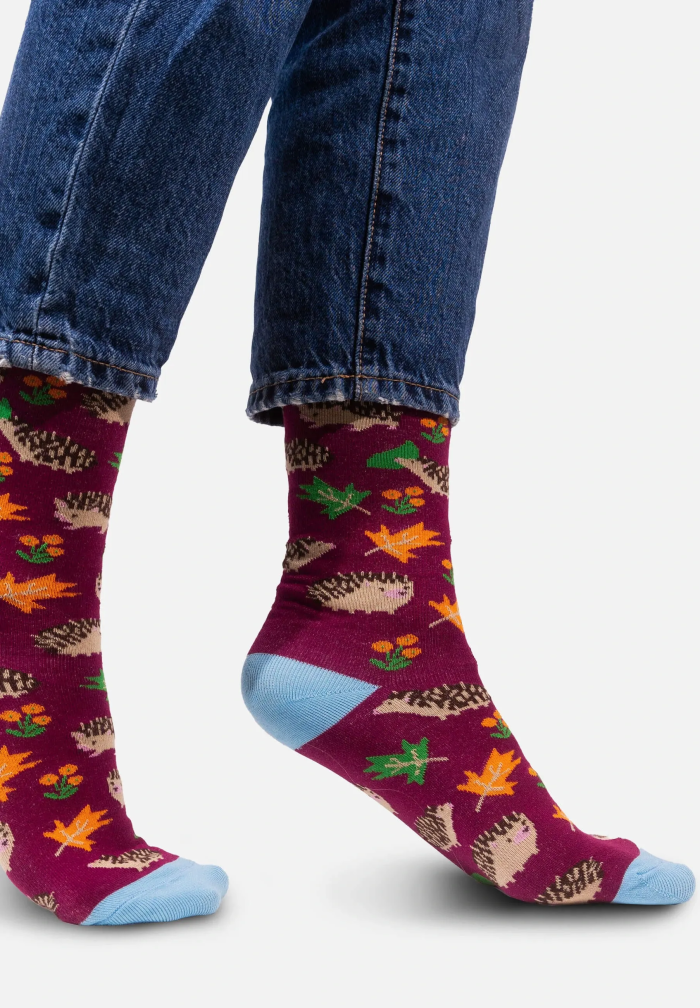 Socks organic cotton with Hedgehogs