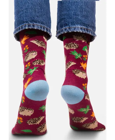 Socks organic cotton with Hedgehogs