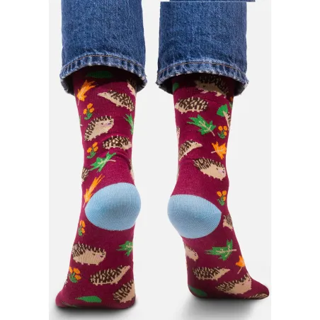 Socks organic cotton with Hedgehogs