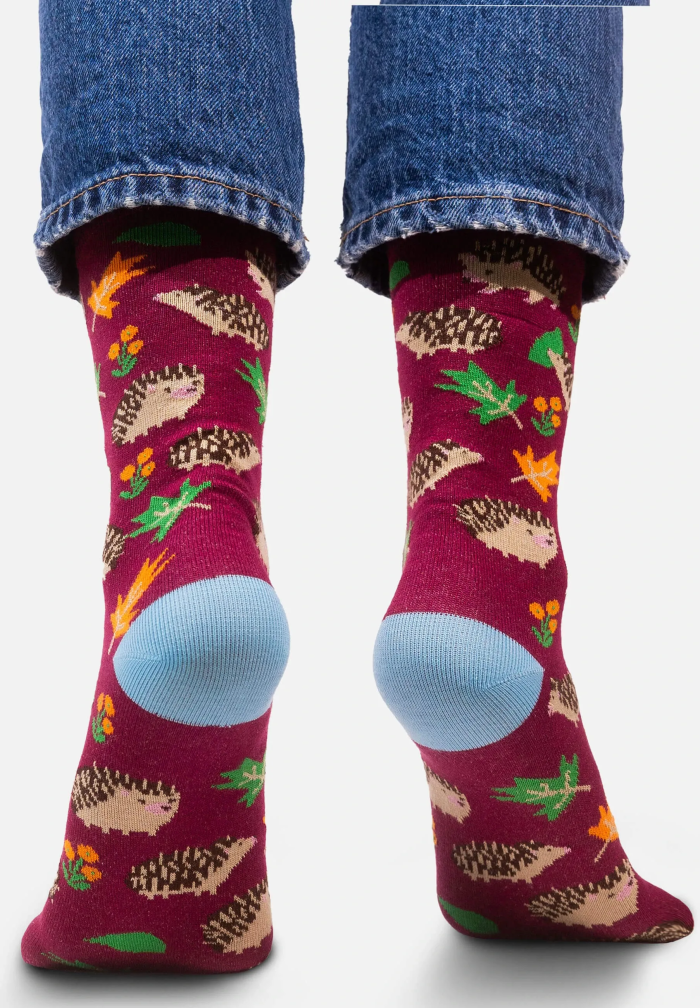 Socks organic cotton with Hedgehogs