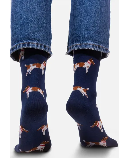 Dogs Sock Set