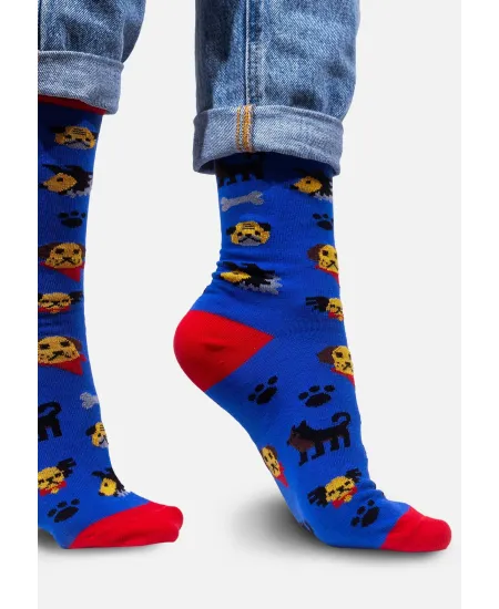 Dogs Sock Set