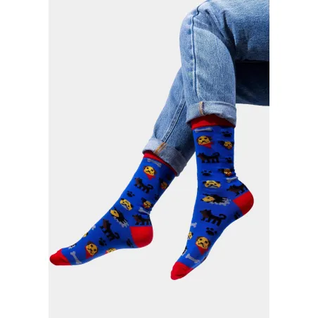 Dogs Sock Set