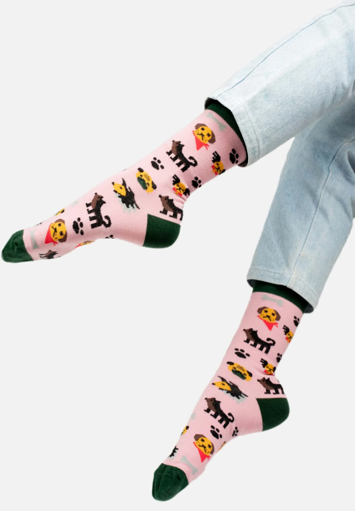 Dogs Sock Set