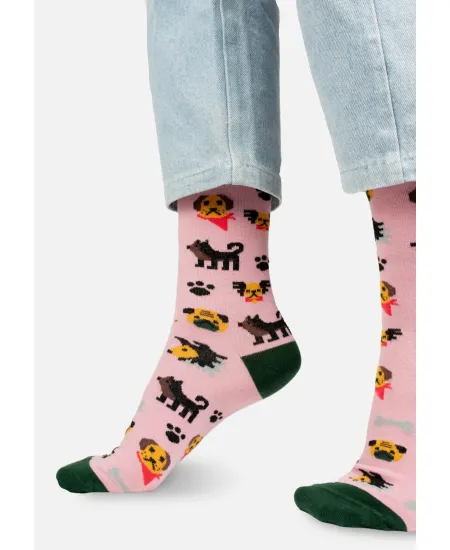 Dogs Sock Set