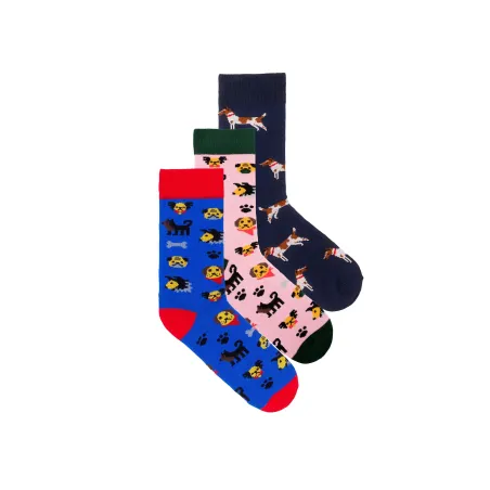 Dogs Sock Set