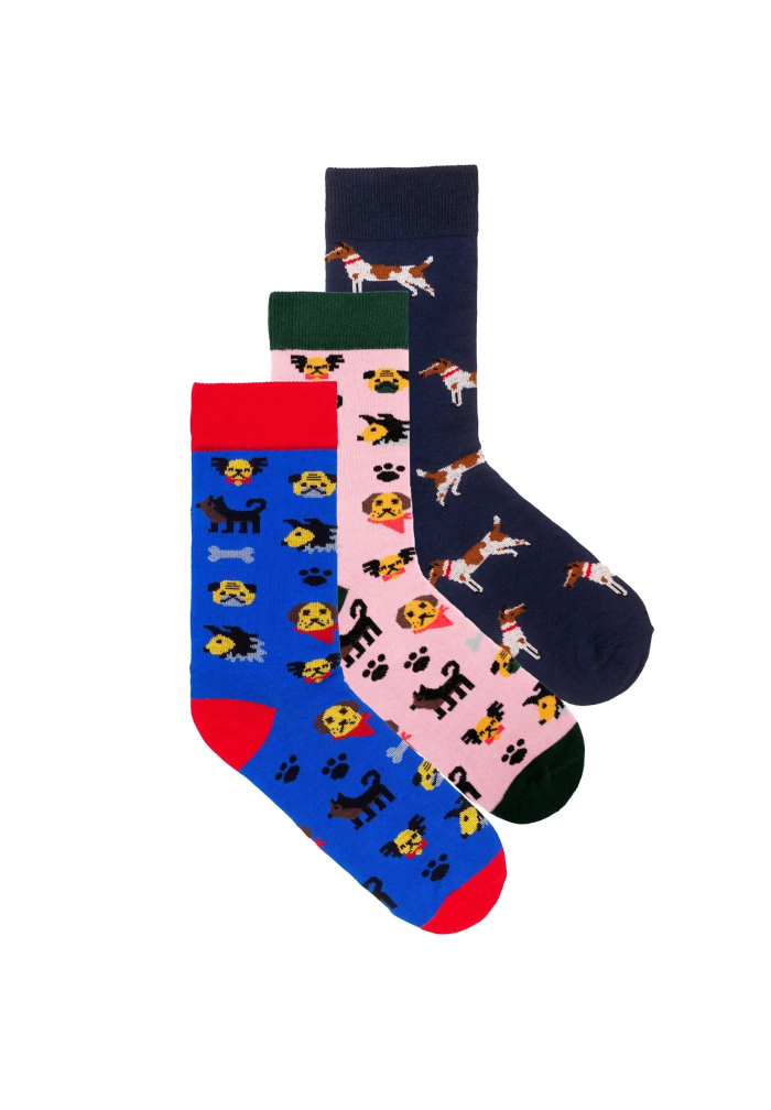 Dogs Sock Set