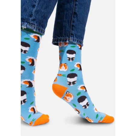 Socks Organic Cotton Guinea Pigs
