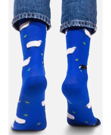 Socks organic cotton Sheeps