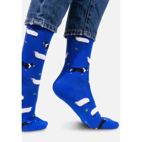 Socks organic cotton Sheeps