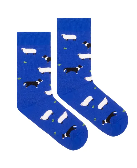 Socks organic cotton Sheeps