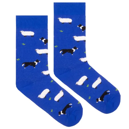 Socks organic cotton Sheeps