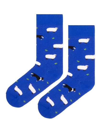 Socks organic cotton Sheeps