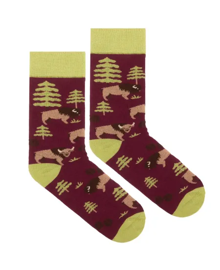 Socks organic cotton Bisons