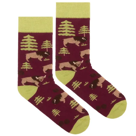 Socks organic cotton Bisons