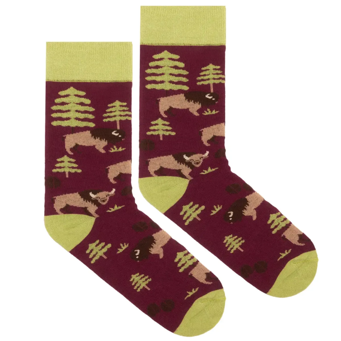 Socks organic cotton Bisons
