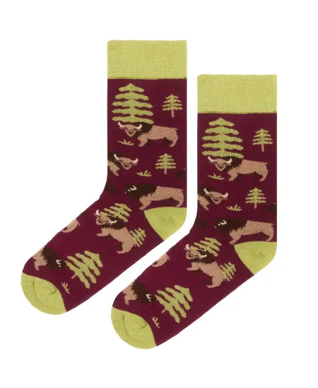 Socks organic cotton Bisons